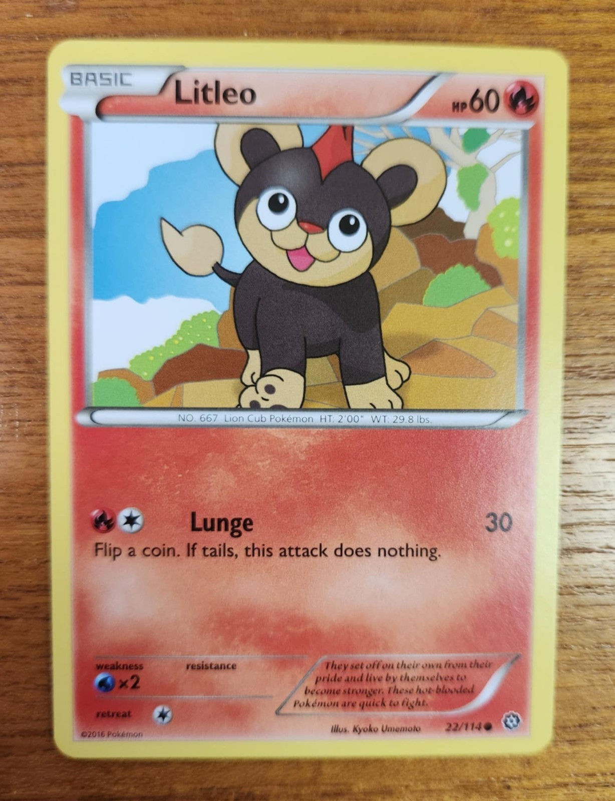 Litleo Pokemon Card, Steam Siege Set 22/114