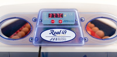 Incubateur Œufs Automatique Borotto REAL 49 Expert - Capacité 49 Œufs (196 Petits) - Avec Humidificateur Sirio - Professionnel