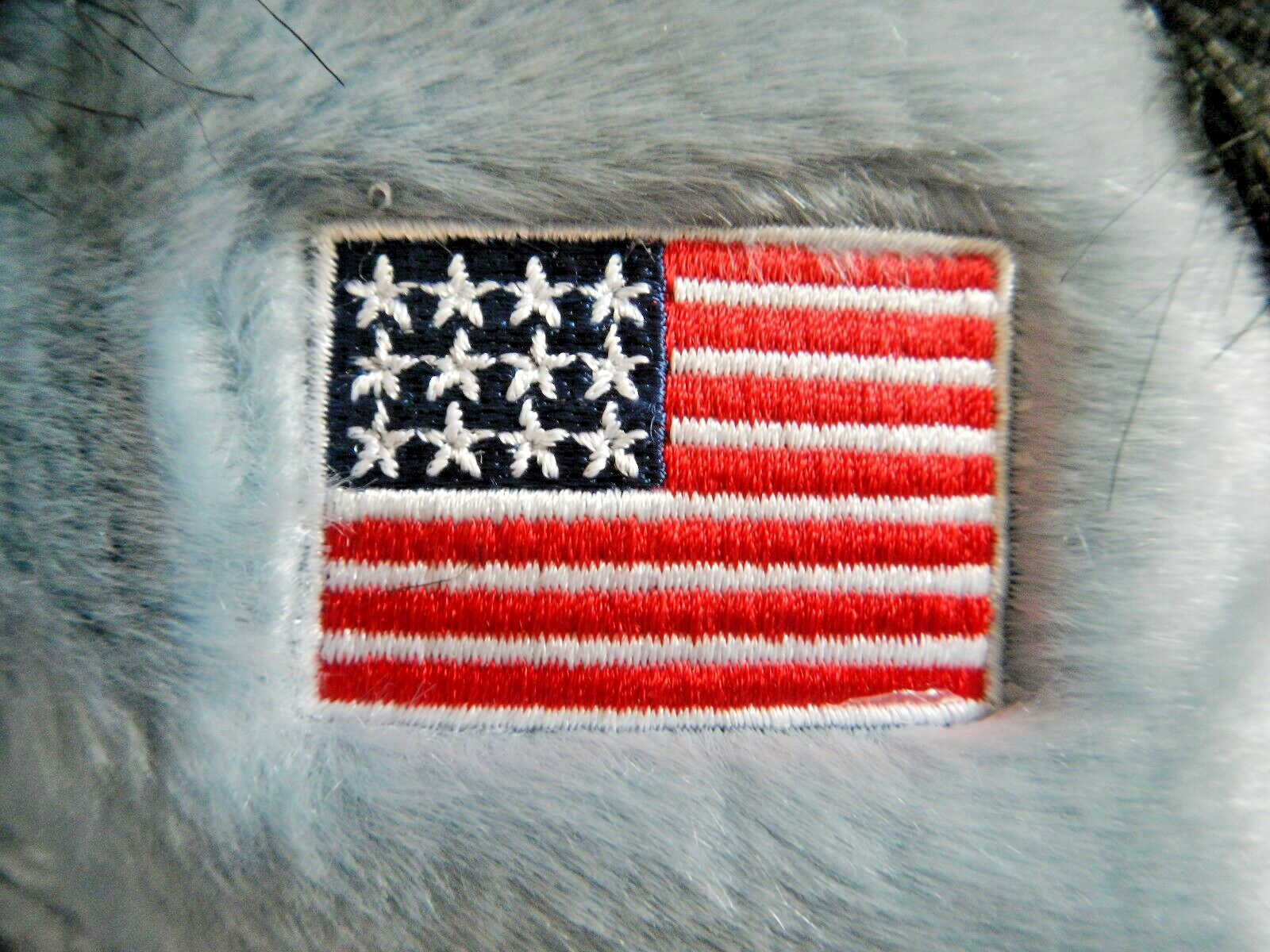 Picture 5 of 12