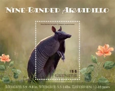 Grenada 2019 - Nine Banded Armadillo - Souvenir Stamp Sheet - Scott #4343 - MNH