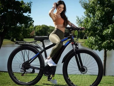 29 Zoll Elektrofahrrad 48V 15AH Trekking eBike 750W E-Mountainbike 25km/h E Bike