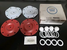 Sandpiper 476.166.654 REBUILD Kit,Ptfe,For 29Au53 Fast Free Shipping 