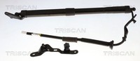 Triscan Gasfeder, Koffer-/Laderaum 8710 13306 FüR Toyota