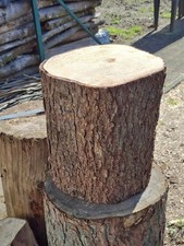 Baumstamm Hauklotz TANNE Natur Höhe ca. 42 cm Durchmesser ca. 38 cm massiv DEKO