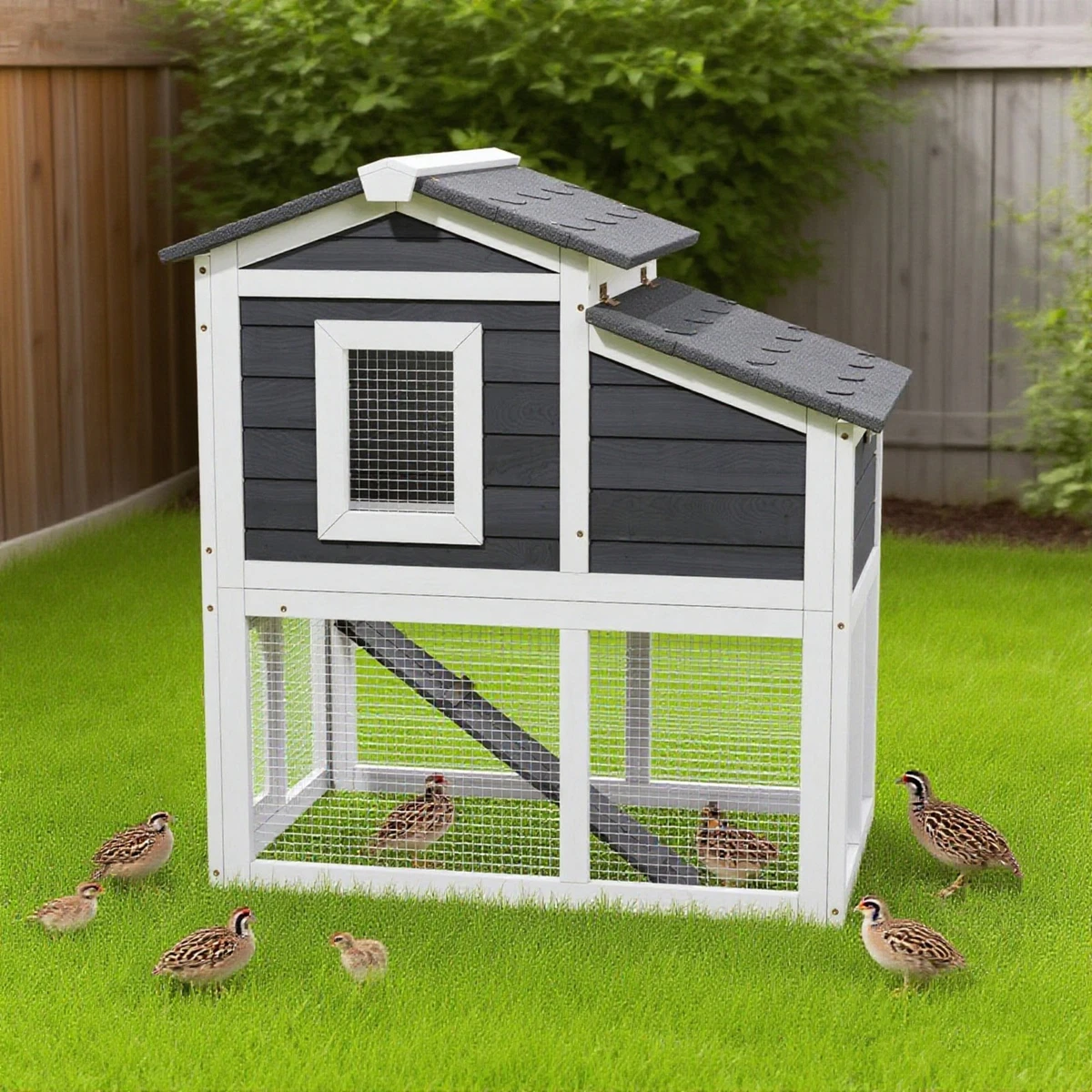 Columpio De Madera Para Pollos - Escalera De Perchas Para Gallinas - Enriquecimiento Para Gallinero O Patio