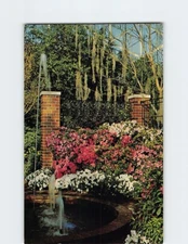 Postcard Azalea Display Show Dome Mitchell Park Milwaukee Wisconsin USA