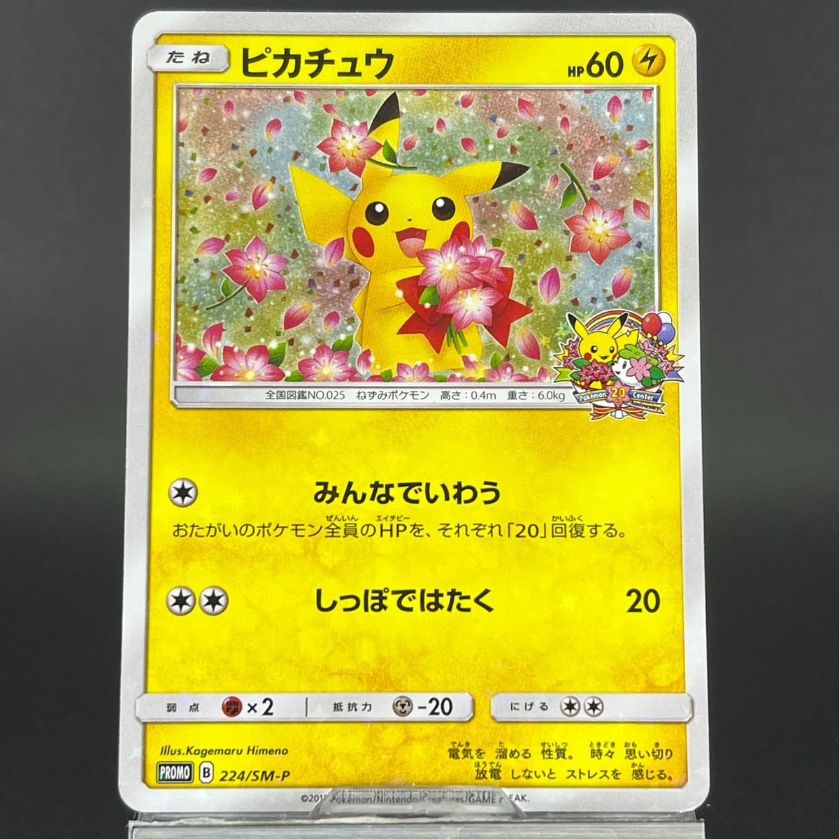 ピカチュウ224/SM-P Pikachu (SM-P Promo 224) - Bulbapedia, the community-driven