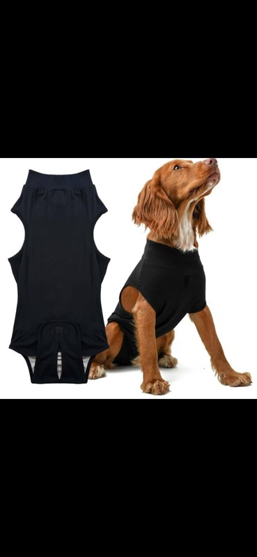 Tail Trusted PupShield Recovery Suit for Faster Healing, Surgery/Neuter/Spay Aid