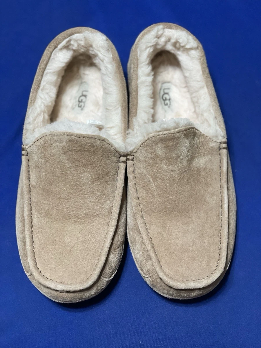 EUC UGG ASCOT 5775 MEN display picture 2