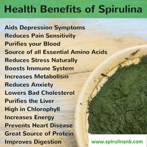spirulina powder - Blue Green Algae 500mg - blood detoxifying properties 3B - Image 4 of 4