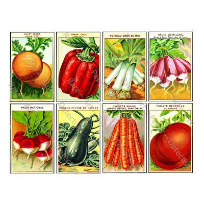 French Seed Packet REPRODUCTIONS, Vegetable Garden Art Decor, 1 Sticker Sheet