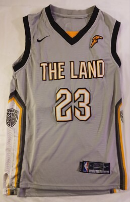 Nike NBA Gray Grey James THE LAND Cleveland Cavaliers Jersey