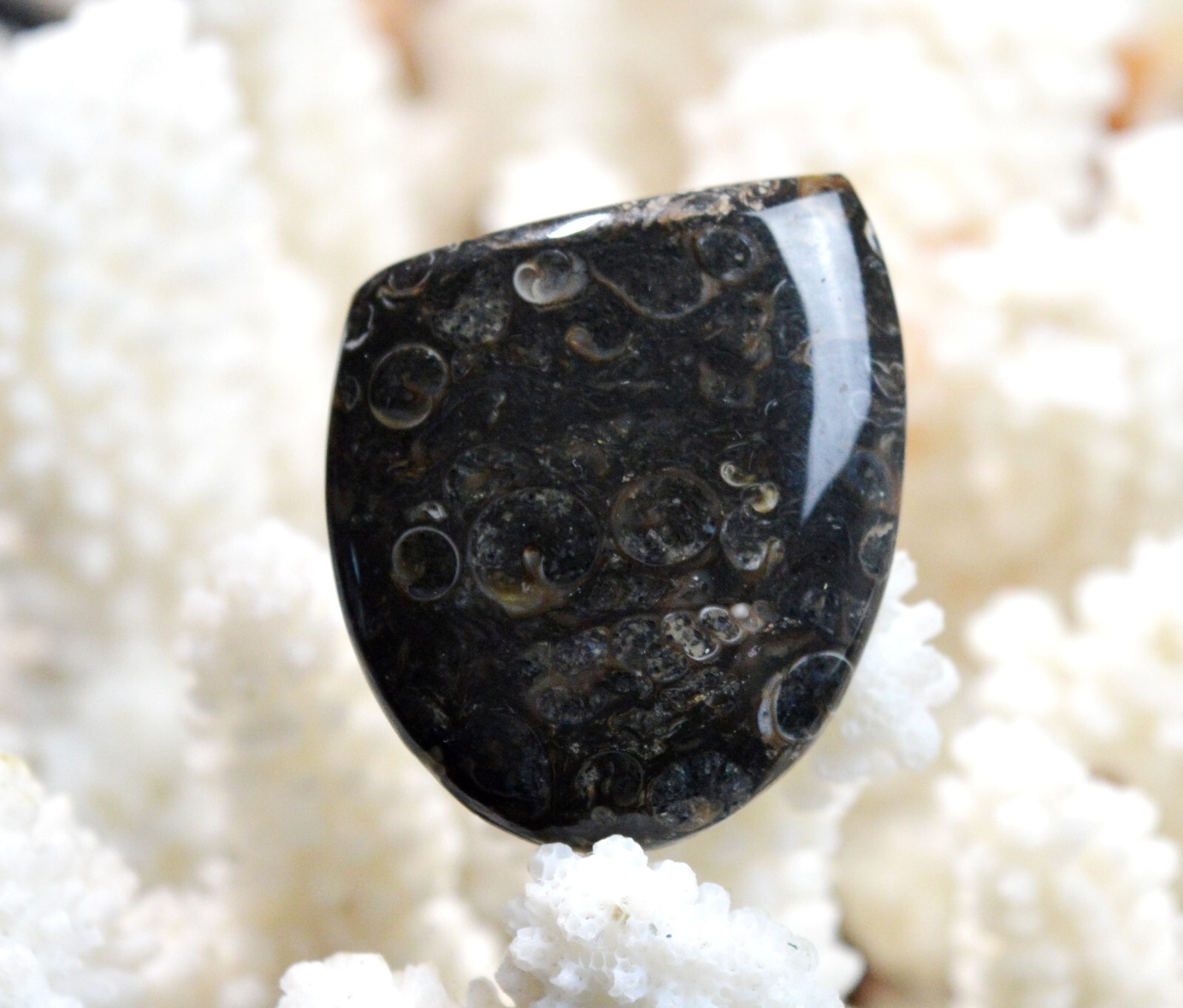 Agate turitelles 58 carats cabochon brun, pierre naturelle d'ancrage pour rituel de méditation