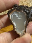 Polished Utah Rocks Nice Collection  — photo 8