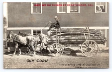c1913 Oversize Corn Wagon Horses Strathmore CA Postcard Exaggeration