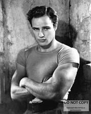 MARLON BRANDO IN "A STREETCAR NAMED DESIRE" - 8X10 PHOTO (MW-334)