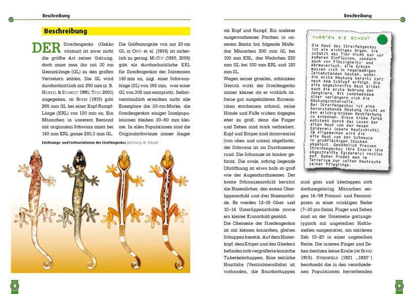 Thumbnail - Der Streifengecko Wolfgang Grossmann 9783866591974