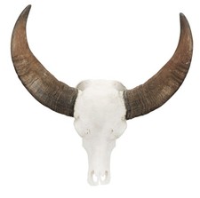 Wasserbüffelschädel Wanddeko groß echt Thailand Deko Tierschädel Büffelkopf