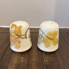 EXC. COND. VTG Franciscan October Set of Salt and Pepper Shakers Needs 1 Plug