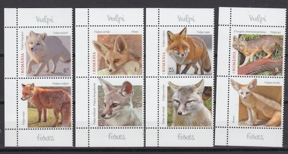 Romania STAMPS 2025 FOXES VULPI MNH POST SET LABELS FAUNA ANIMALS - Image 1 of 1