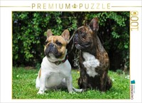 Calvendo Puzzle FranzöSische Bulldoggen | 1000 Teile Lege-GrößE 64 × 48 Cm Foto-