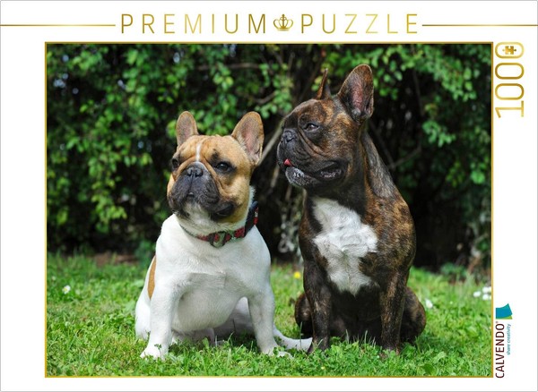 Calvendo Puzzle FranzöSische Bulldoggen | 1000 Teile Lege-GrößE 64 × 48 Cm Foto--image