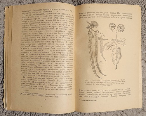 Занимательная ботаника 1951 А. Цингер Entertaining Botany A Zinger RARE - Imagen 9 de 16