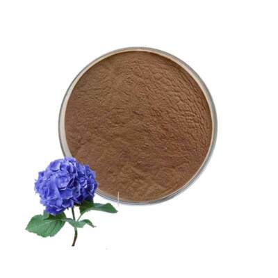 Hydrangea Root Powder Hydrangea Macrophylla 10/20/30:1 Powder Natural Extracts