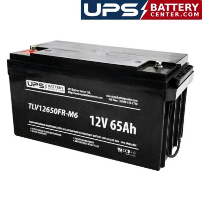 Delta HRL 12-65 X 12V 65Ah M6 Replacement Battery