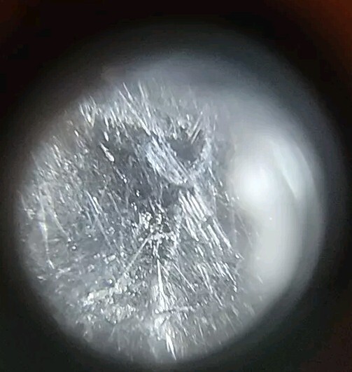 Picture 19 of 24
