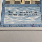 Picture 6 of 12