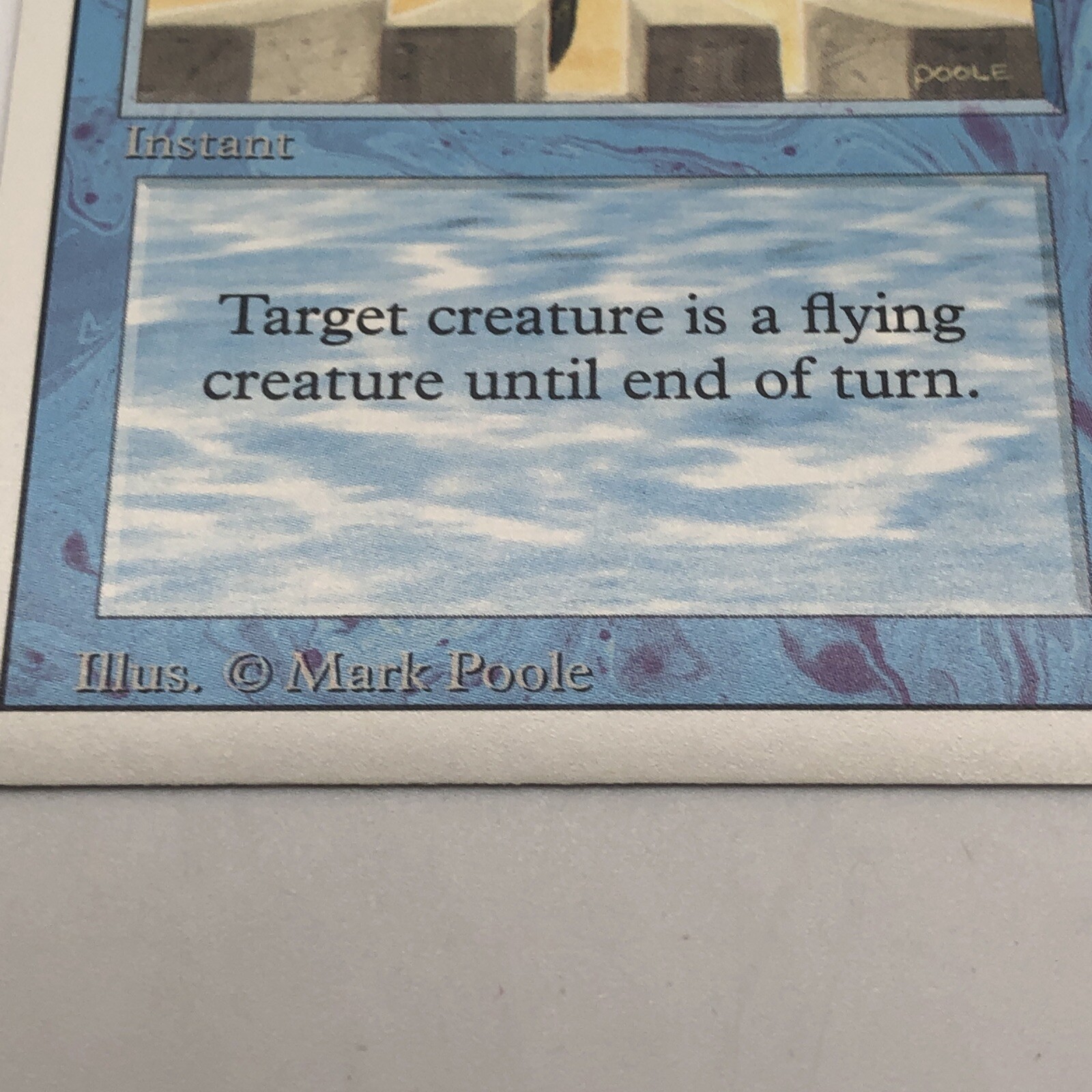 Picture 6 of 12