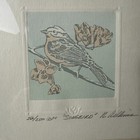 Foto 3 di 10