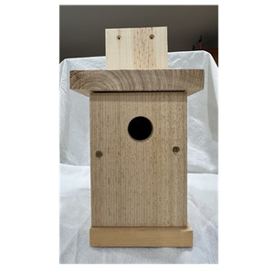 Natural Wood Rectangular Bird House Nest Box, Front Entrance, 1 Compartment