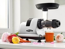 Omega J8006HDS Cold Press Juicer Machine, Nut...