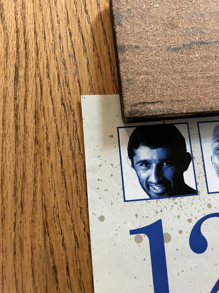 Pride Fc Fumetsu, Full Size B2, Official Poster, Pride FC, UFC signed by Ishida! - Image 2 of 4