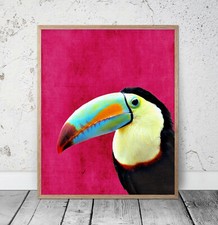 Toucan Print,Tropical Birds Wall Art, (Multi buy offer on all shop inventory)