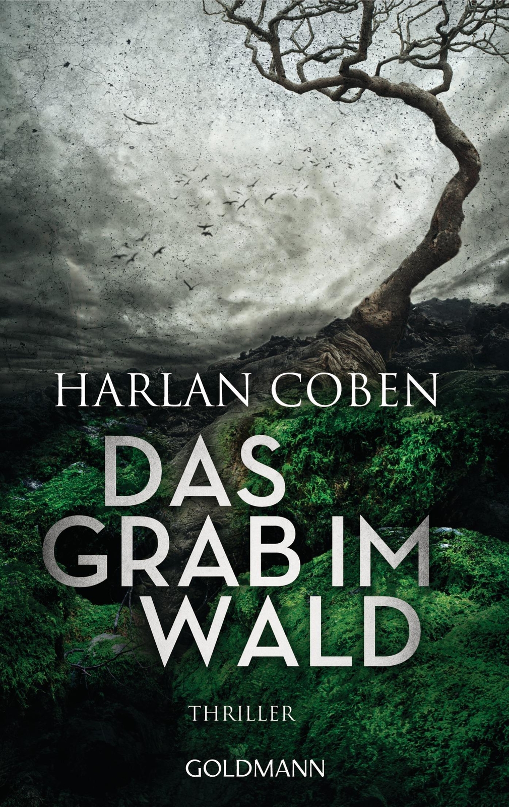Thumbnail - Das Grab Wald | Harlan Coben | Taschenbuch | Godmanns Taschenbücher |