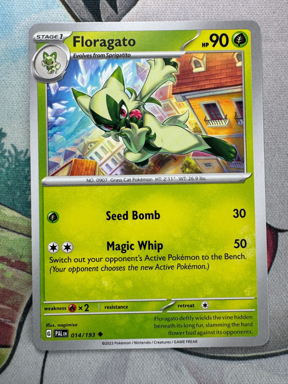Floragato Non-Holo English Pokemon TCG BKCH208