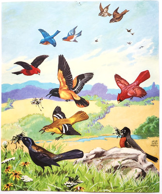 1940s Birds Hunting Insects Jacob Bates Abbott Color Plate Print Oriole Bluebird