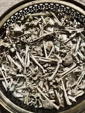 Small Sized Animal Bones For Oddity/Curiosity Display, Crafting, Jewelry, Etc.