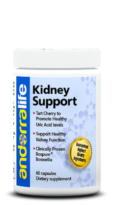 Wayal Kidney Support Gout Relief Antioxidant Uric Acid Healthy 60 Caps NEW