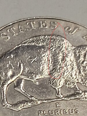 レア　ヴィンテージ フリトス　パッケージロール20柄　蚤の市✖️5 2005 D Speared Buffalo Jefferson Nickle | eBay