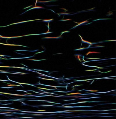 Porter Ricks Biokinetics (CD) Album