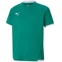 Koszulka Puma Teamliga Jersey Jr 704925 05 - 176Cm Puma