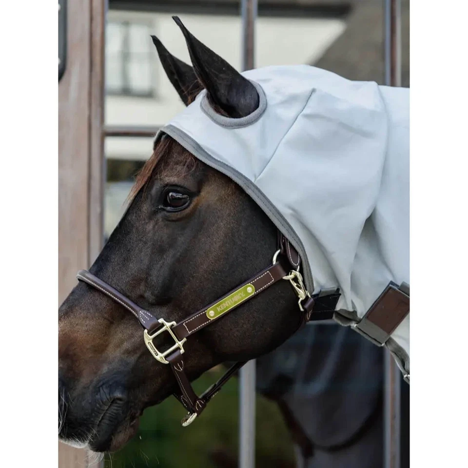 Kentucky Horsewear Grau 125-5'9 Ekzemerdecke mit Halsteil Fliegendecke - Bild 4 von 4