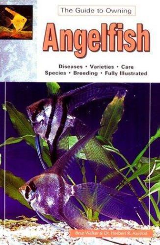 Der Leitfaden zum Besitz von Angelfischen: Krankheiten, Sorten, Pflege, Arten, Zucht - Bild 1 von 1