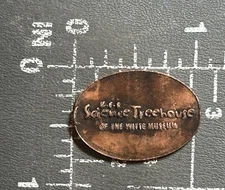 H-E-B Science Treehouse of the Witte Museum San Antonio Elongated Pressed Penny