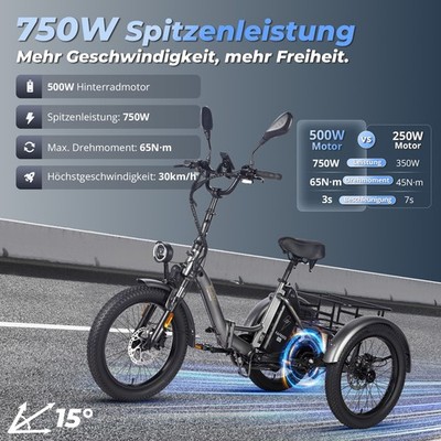 Falten Elektro Dreirad Fafrees F20 Mate E-Bike 250W 3 Rädern E-Fahrrad Tricycle