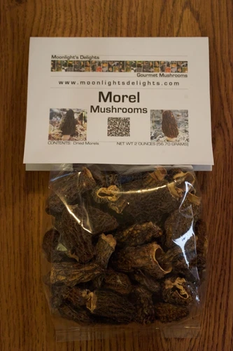 2oz Dried Morel Mushrooms Top Grade Short Stem Pacific Northwest Premium Quality